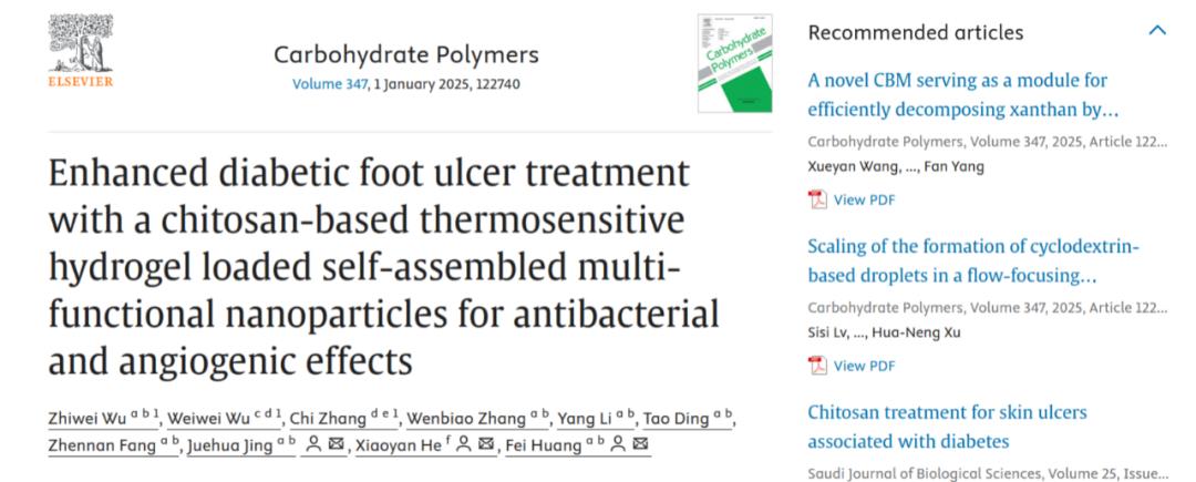 IF12.5 一区:抗菌+促血管生成:壳聚糖水凝胶为糖尿病足治疗注入新希望