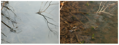 揭開光的“秘密