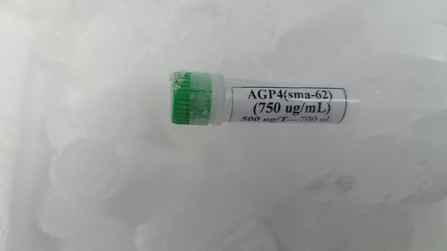 ibms.sinica.edu.tw（中国台湾）代理商 2026授权代理-上海起发