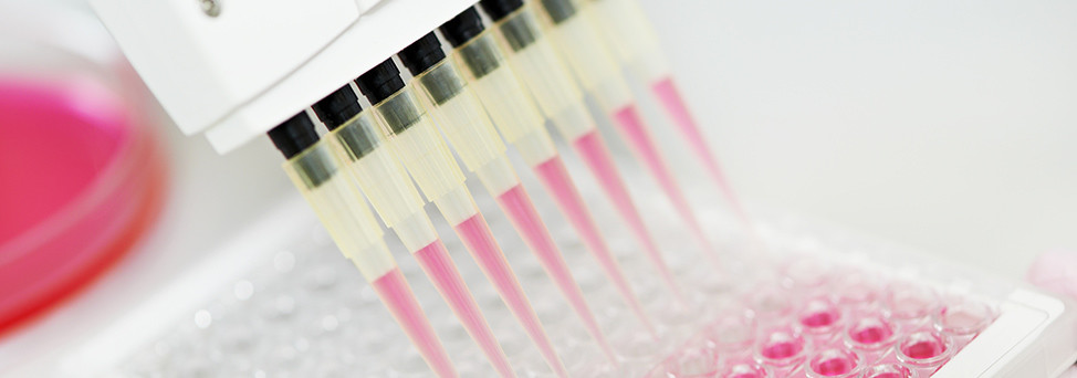 Matriks Biotek（土耳其）代理商 2026授权代理-上海起发