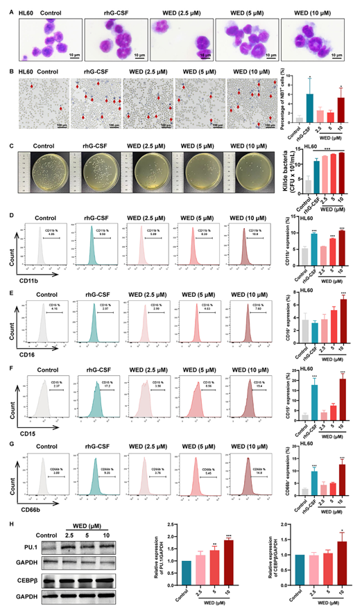 6390346179333923201376325