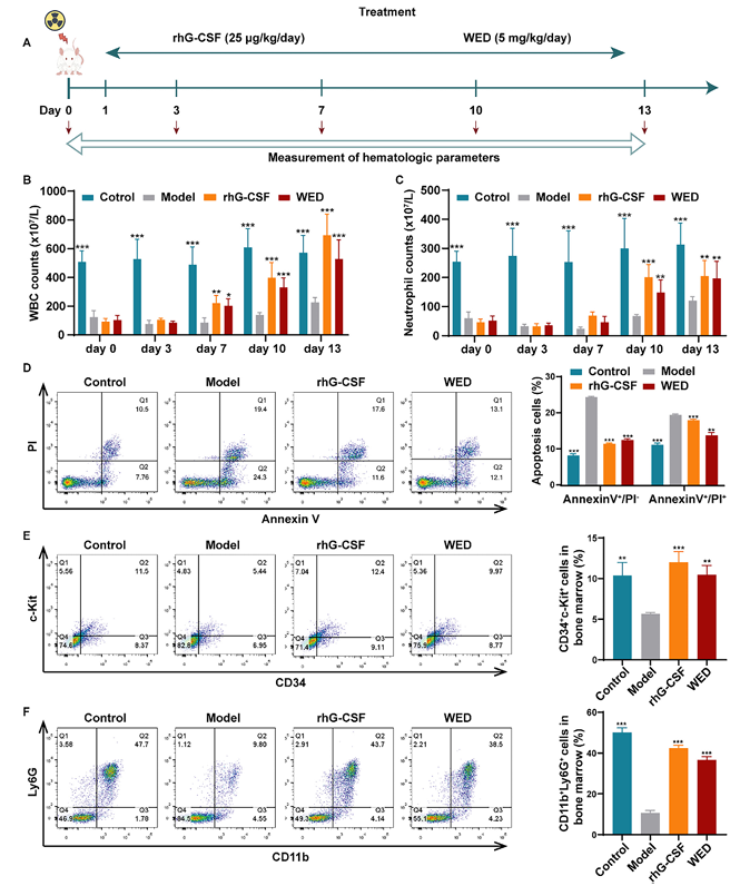 6390346181807620364468218