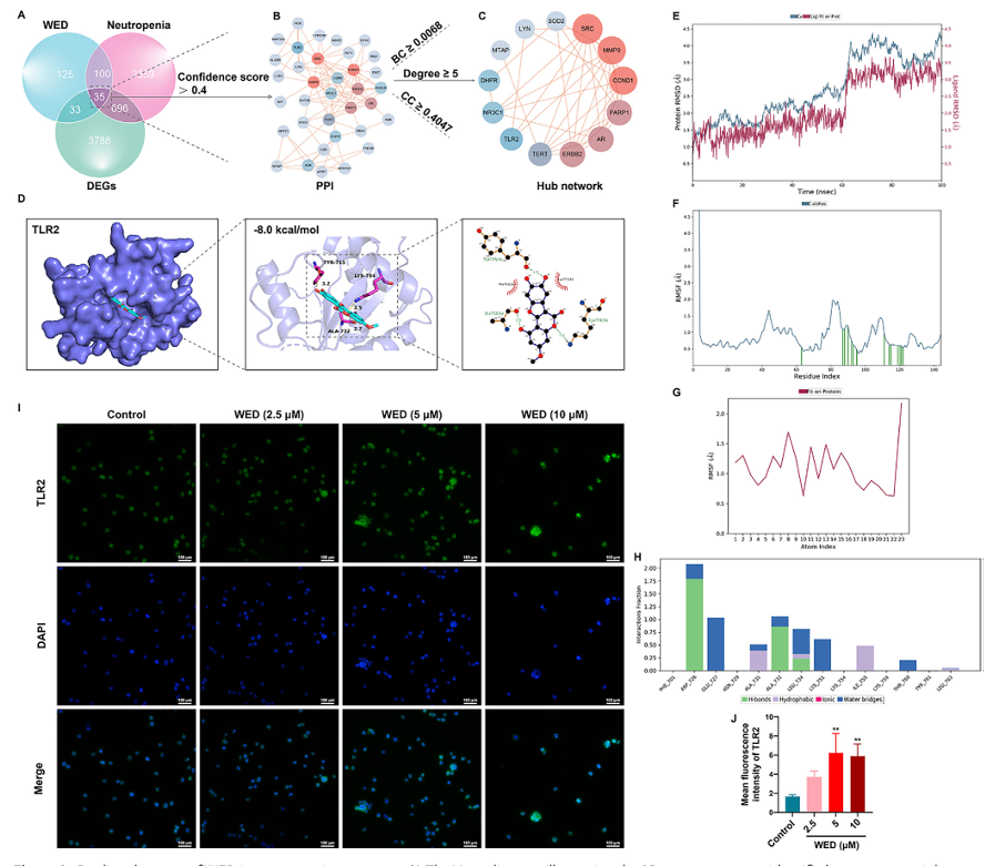 6390346185922469016438914