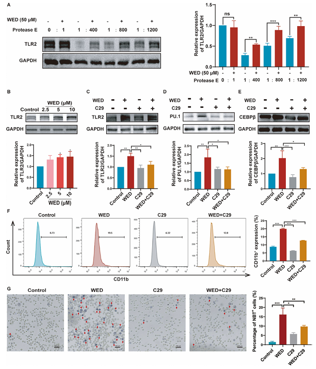 6390346187420475129301672