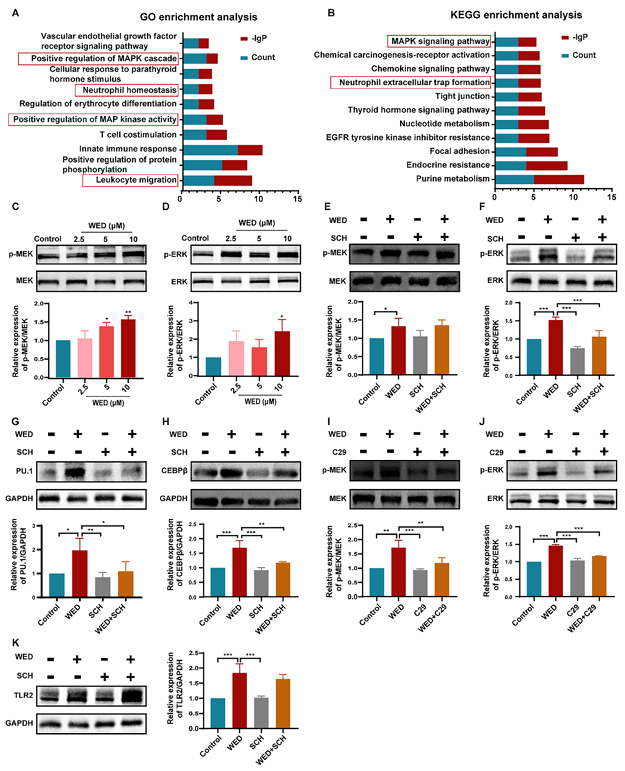 6390346190581358691442246