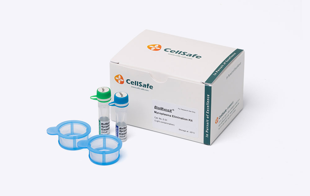 韓國CellSafe代理商 2026授權代理-上海起發