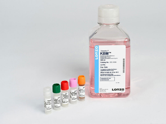 LONZA原代人表皮角質形成細胞NHEK, Human Epidermal Keratinocytes產品介紹