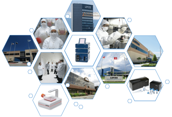 Lonza原代人肺成纖維細(xì)胞NHLF, Human Lung Fibroblasts產(chǎn)品介紹