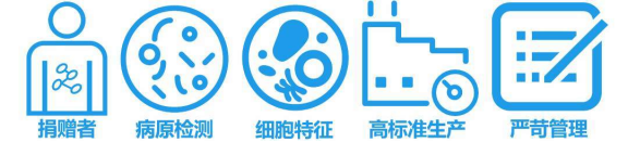 LONZA原代人冠狀動(dòng)脈內(nèi)皮細(xì)胞HCAEC 產(chǎn)品介紹