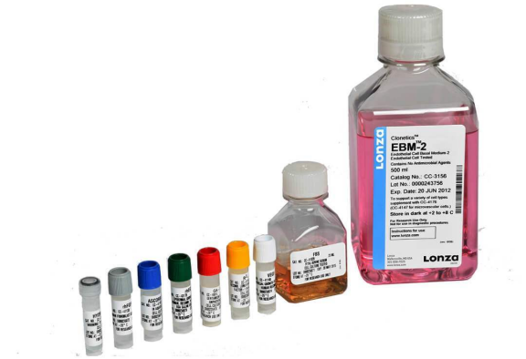 LONZA原代人心臟微血管內(nèi)皮細胞HMVEC-C 產(chǎn)品介紹