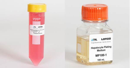 Lonza人原代肝臟細胞、肝臟非實質(zhì)細胞Human Hepatocytes產(chǎn)品介紹