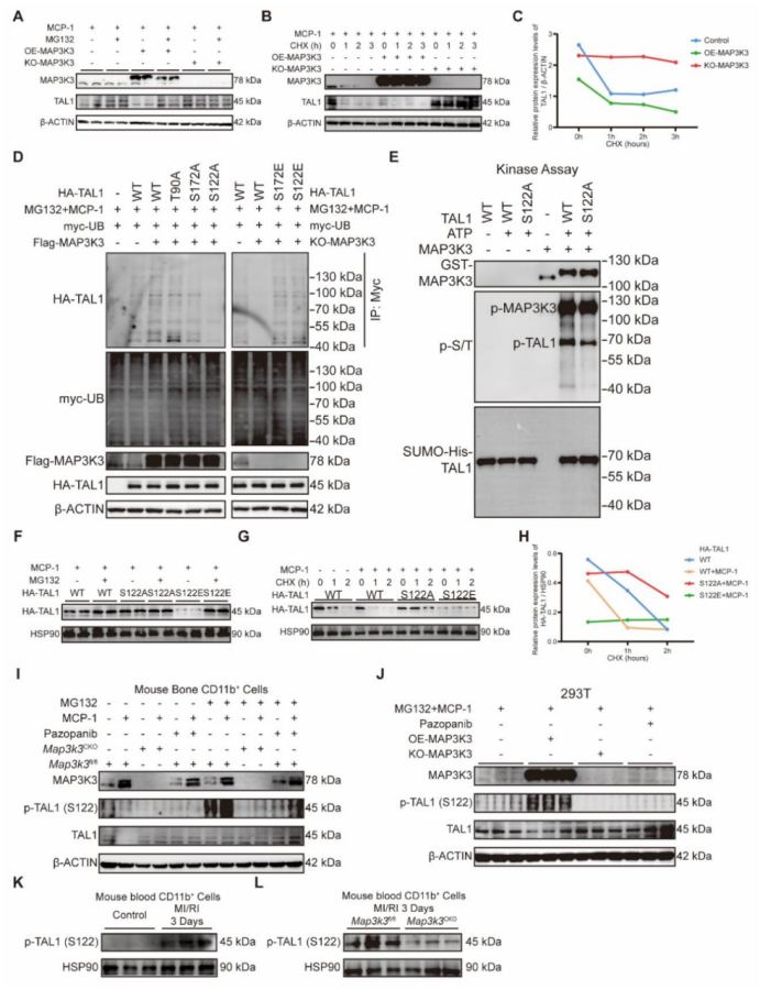 6390504242029514176571587