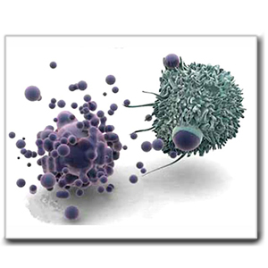 1a5f43a7-5541-4ebf-8a53-54f587a352d7.jpg 武漢安迪福諾ABP Biosciences代理商 2026授權代理-上海起發