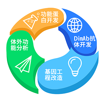 c0f24ee7-00a8-43c9-b0a9-2c1225c877e9.png 武漢締碼生物Dimabiotech代理商 2026授權(quán)代理-上海起發(fā)