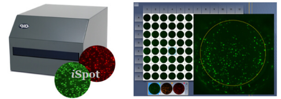 image.png 德国AID酶联免疫斑点分析仪 AID ELISPOT Reader 产品介绍