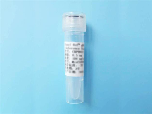 南京科佰生物cobioer代理商 2026授权代理-上海起发