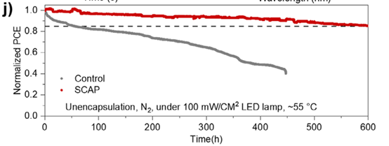 SCAP自洽性鈍化達32.33% PCE，消除鈍化串擾