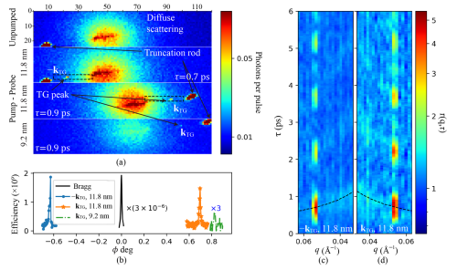 自由电子激光，纳米级超快晶格，钛酸锶SrTiO
