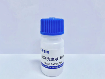 7f66c39f-a0b2-439d-932e-a90b1fccbd48.png 上海江萊生物Jonlnbio代理商 2026授權代理-上海起發