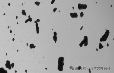 【热点应用】颗粒粒径与形貌如何影响原料药的流动性?
