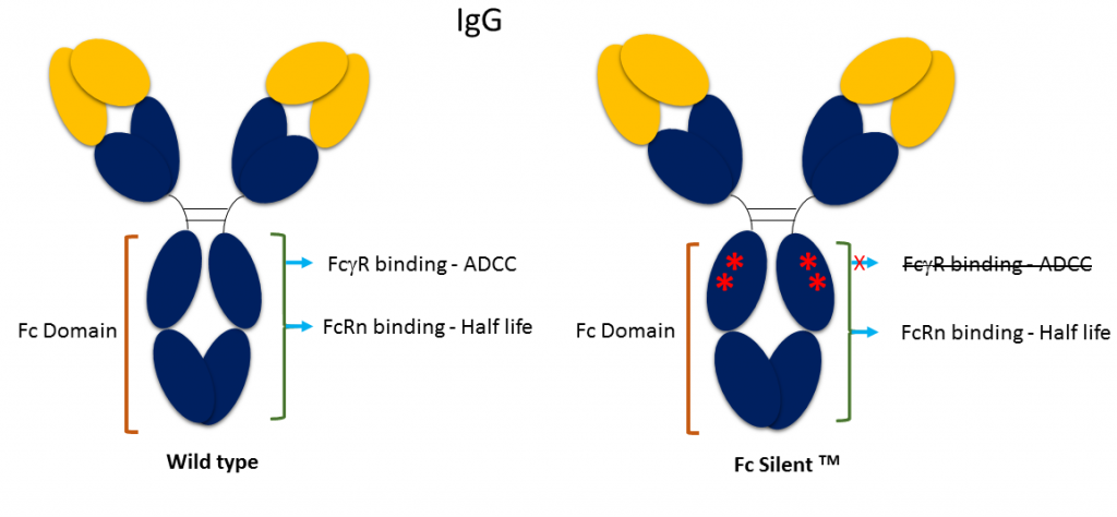 英國Absolute Antibody代理商 2026年AbsoluteAntibody授權代理-上海起發(fā)