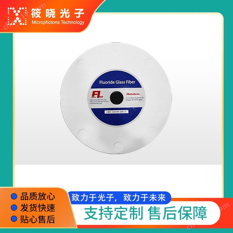非摻雜 MMFF多模氟化物光纖 0.35-4um(芯徑400um)