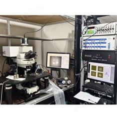 超分辨離體光遺傳系統(tǒng)