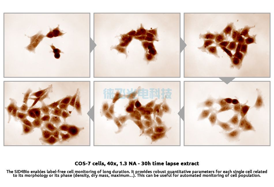 细胞定量相位分析仪 SID4-Bio