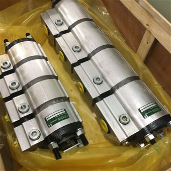 FDRA020314WVR意大利RONZIO罗茨马达