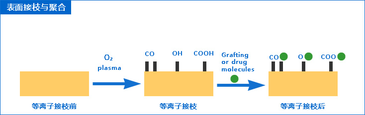 2L等离子去胶机