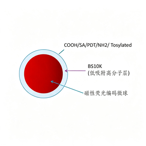 Beadstar‑mPlex® 磁性荧光编码微球