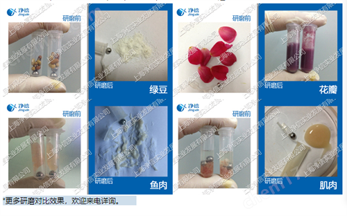 超高通量組織研磨儀